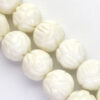 Perle organskog porekla - Školjke