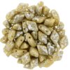 GemDuo