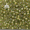 Seed Beads