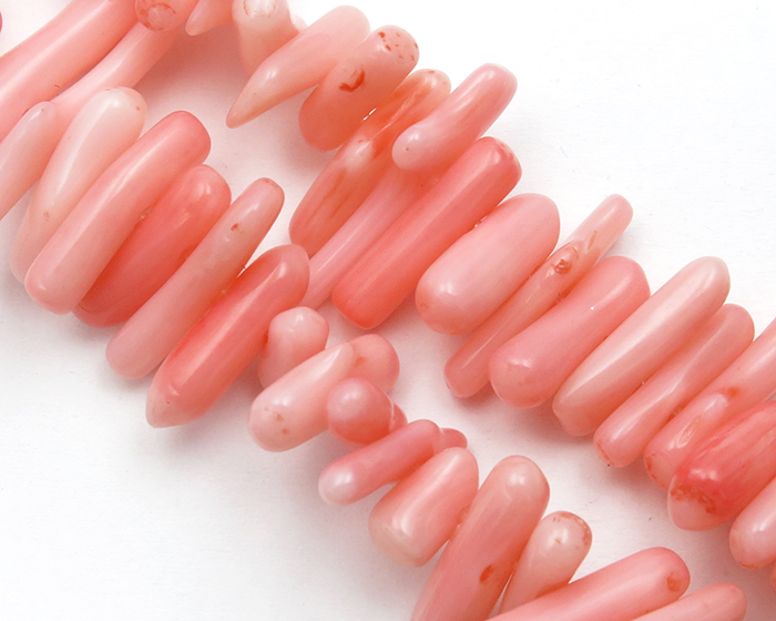 Koral Štapići (06) - Ružičasti Korali