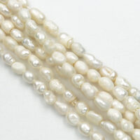 Biseri, školjke, korali...