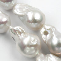 Biseri, školjke, korali...