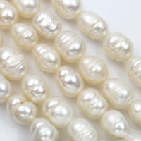 Biseri, školjke, korali...