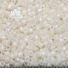 Seed Beads