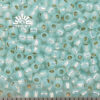 Seed Beads